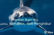 Ikan Lele Ikan Hiu Pantun